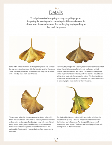 4583 botanical watercolours trhough the years sandrine maugy 4