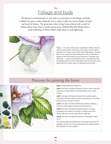 4583 botanical watercolours trhough the years sandrine maugy 5