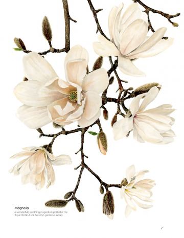 4584 anna mason the modern flower painter 3