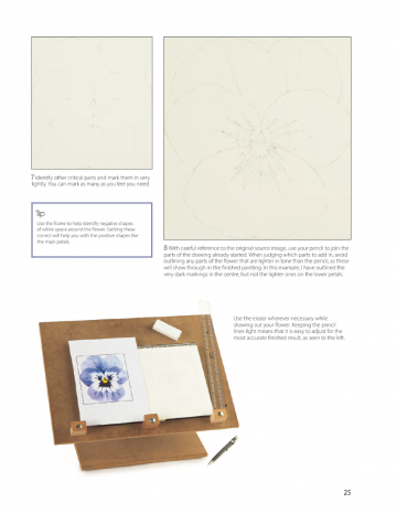 4584 anna mason the modern flower painter 7