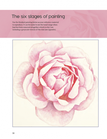 4584 anna mason the modern flower painter 8