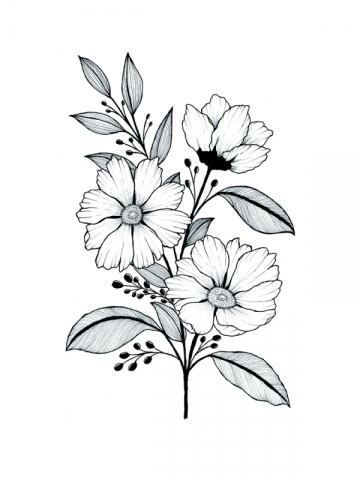 4585 the kew book of drawing flowers bianca giarola 3