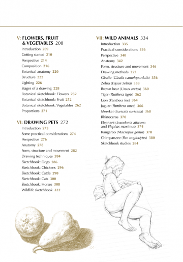 4586 drawing nature giovanni civardi 2