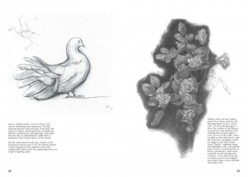 4586 drawing nature giovanni civardi 6