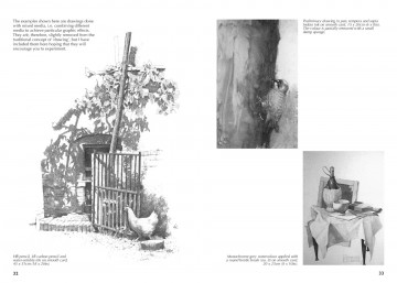 4586 drawing nature giovanni civardi 7