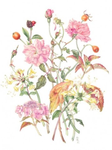 4588 botanical sketchbook mary ann scott 5