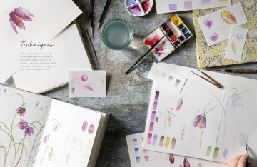 4588 sketching nature door diane sutherland 5