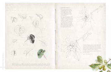 4588 sketching nature door diane sutherland 6