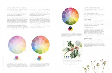 4588 sketching nature door diane sutherland 7