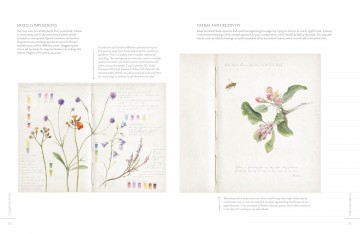 4588 sketching nature door diane sutherland 8