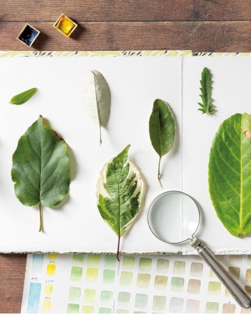 4588 sketching nature door diane sutherland 9