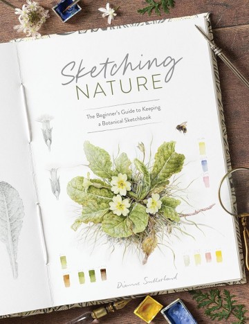 4588 sketching nature door diane sutherland