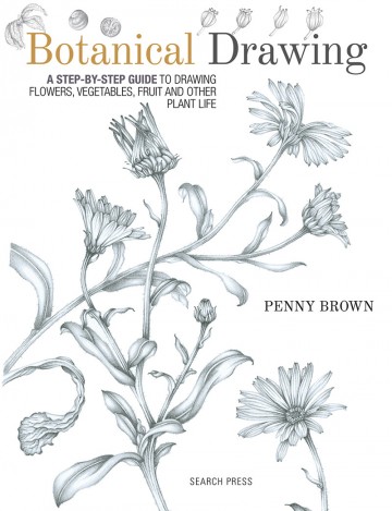 45891 botanical drawing door penny brown