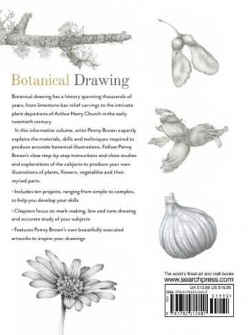 4591 botanical drawing penny brown 4