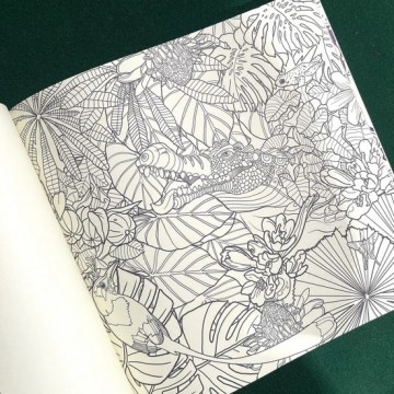 4602 kleurboek road dahls marvellous adventure 4