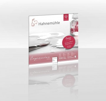 4636 hahnemuhle expression 30 x 30 cm