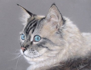 4643 hahnemuhle velour 30 x 40 4