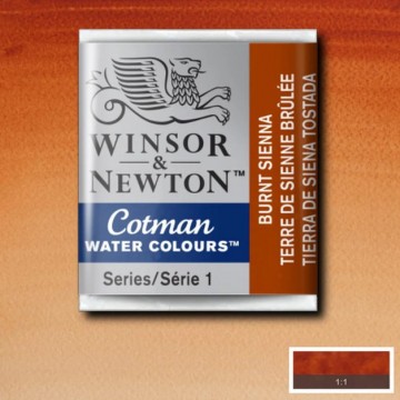4656 winsor newton cotman aquarelverf burnt sienna