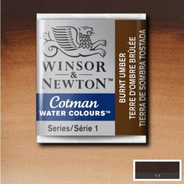 4656 winsor newton cotman aquarelverf burnt umber