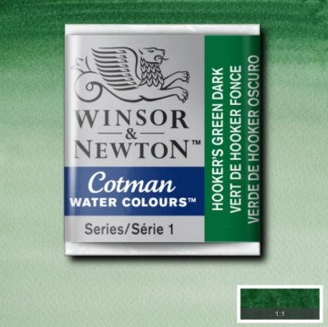 4656 winsor newton cotman aquarelverf hookers green dark 0