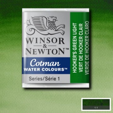 4656 winsor newton cotman aquarelverf hookers green light 0