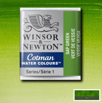 4656 winsor newton cotman aquarelverf sap green