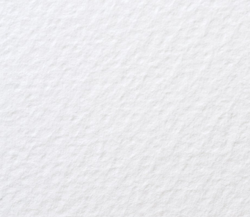 4661 holvein white ibis shikishi watercolor