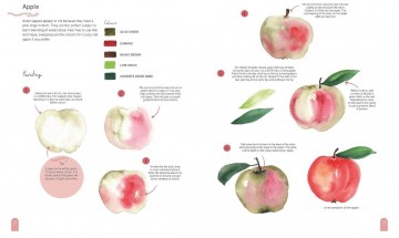 4682 boek paint 50 watercolour nature door clarice gomes 4