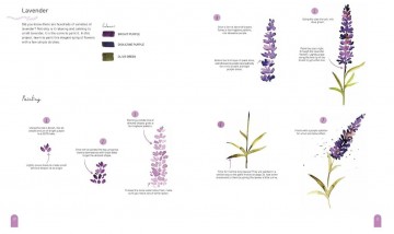 4682 boek paint 50 watercolour nature door clarice gomes 7