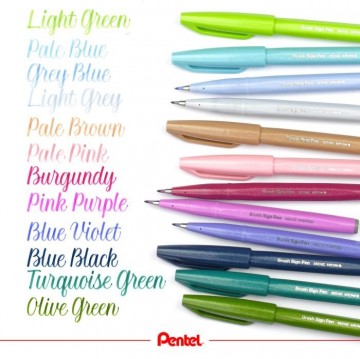 4694 pentel brush sign ses15c 12 set pastel colour 4