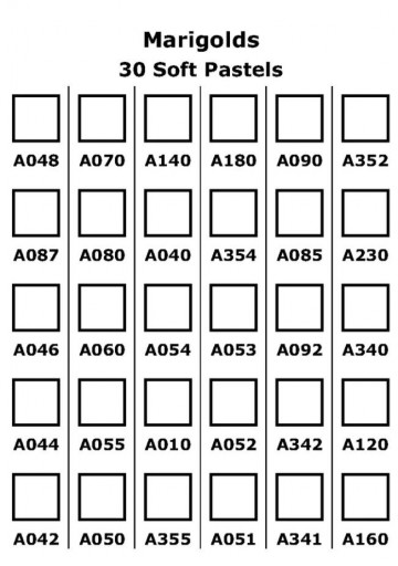 4702 terry ludwig marigolds 3