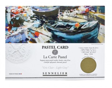 4775 sennelier pastel card 6 vellen 30x40 cm licht warmgrijs 1