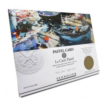 4775 sennelier pastel card 6 vellen 30x40 cm licht warmgrijs 2