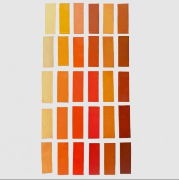 4802 terry ludwig marigolds