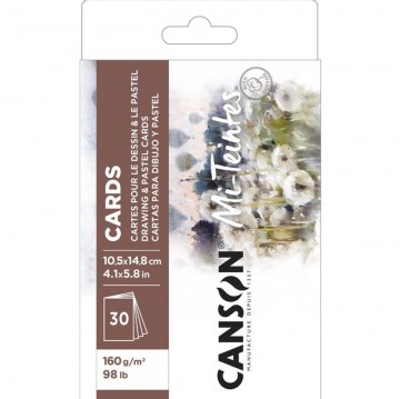 4848 canson mi teintes cards