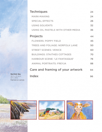 4856 beginners  guide oil pastel tim fisher