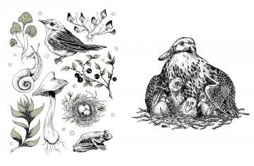 4859 15 minute pen ink anna tromop 4