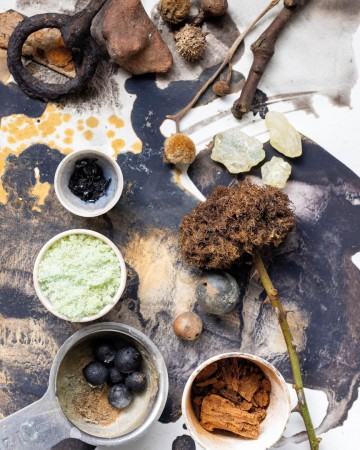 4860 the natural pigment handbook door lucy mayes 5