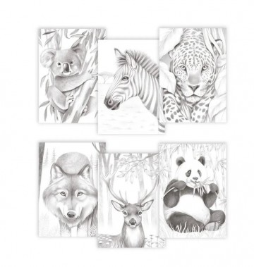 4942 kleurboek dieren emmanuelle collin clairefontaine 3