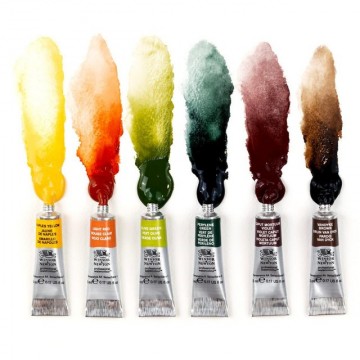 4946 winsor and newton professional watercolour 5ml rich earth colours set of 696049