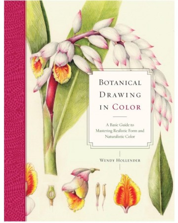 5013 botanical drawing in color wendy hollender 1 0