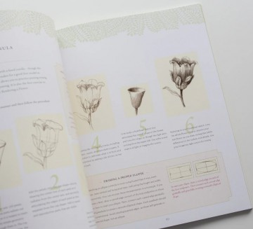 5013 botanical drawing in color wendy hollender 3 0