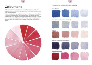 5014 colour mixing companion julie colins 2