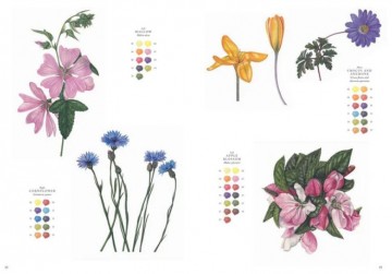 5023 wildflower art pad rachel pedder smith 2