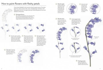 5023 wildflower art pad rachel pedder smith 3