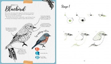 5024 the kew book of drawing flora en fauna 2