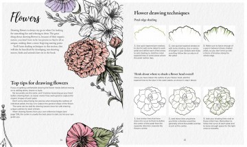 5024 the kew book of drawing flora en fauna 4