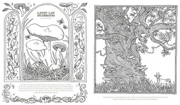 5025 into the fungarium 3