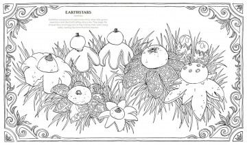 5025 into the fungarium 4