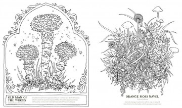 5025 into the fungarium 5